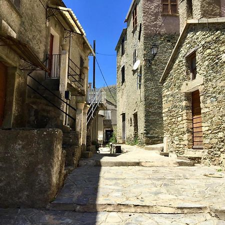Nuits Magiques Au Village Entre Mer Et Montagnes Bigorno 外观 照片