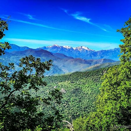 Nuits Magiques Au Village Entre Mer Et Montagnes Bigorno 外观 照片