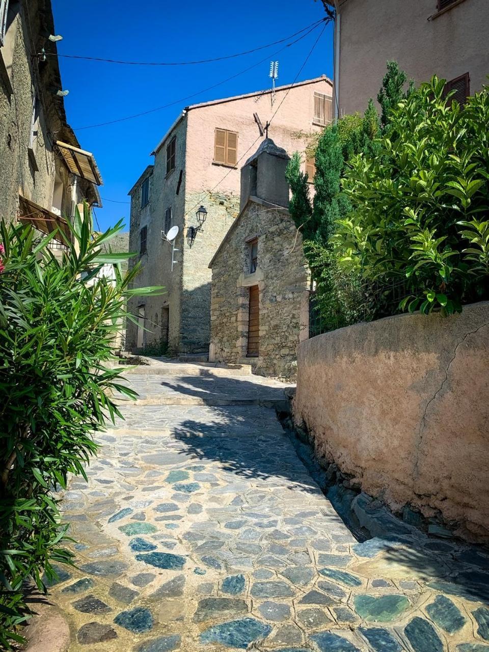 Nuits Magiques Au Village Entre Mer Et Montagnes Bigorno 外观 照片