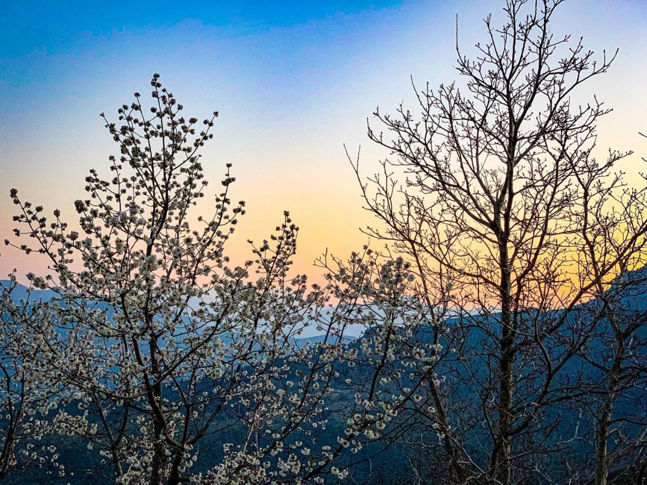 Nuits Magiques Au Village Entre Mer Et Montagnes Bigorno 外观 照片